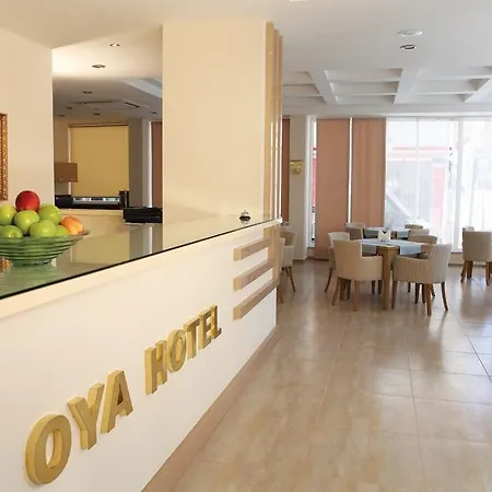 Hotel Oya *